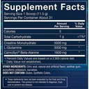 bodytech-100-pure-creatine-and-glutamine-71rFdRmWmvL.jpg