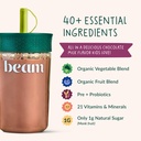beam-kids-bundle-chocolate-and-strawberr-81N2thskVQL.jpg