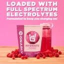 gnarly-nutrition-hydrate-electrolyte-pow-81MC9cWjYGL.jpg