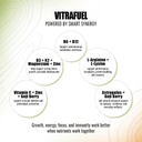 vitrafuel-energy-drink-mix-natural-mango-61yEyBccPpL.jpg