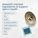 bird-be-male-fertility-supplements-men-s-71+Oq-DWdoL.jpg