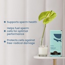bird-be-male-fertility-supplements-men-s-71MZWx2adLL.jpg