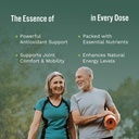 substance-ultimate-wellness-bundle-daily-71SWX631NuL.jpg