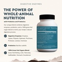 ancestral-supplements-digestive-enzymes--819Afl2sL6L.jpg