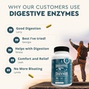 ancestral-supplements-digestive-enzymes--81w7HCLXruL.jpg