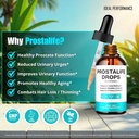 prostalife-drops-prostate-health-supplem-81Gi+UKccEL.jpg