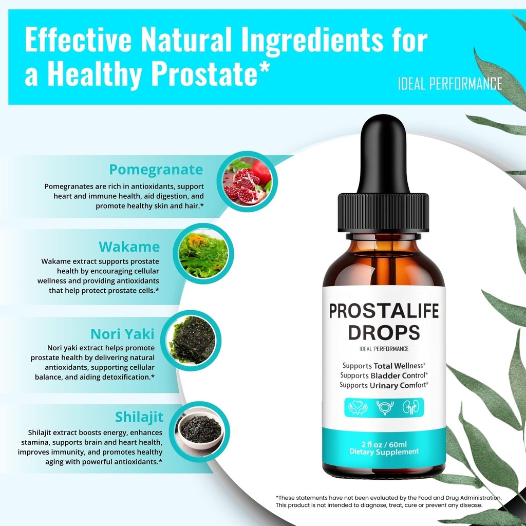 prostalife-drops-prostate-health-supplem-81wF+4SpuPL.jpg