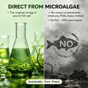 algae-oil-for-dogs-omega-3-epa-dha-from--71KZgMGOsuL.jpg