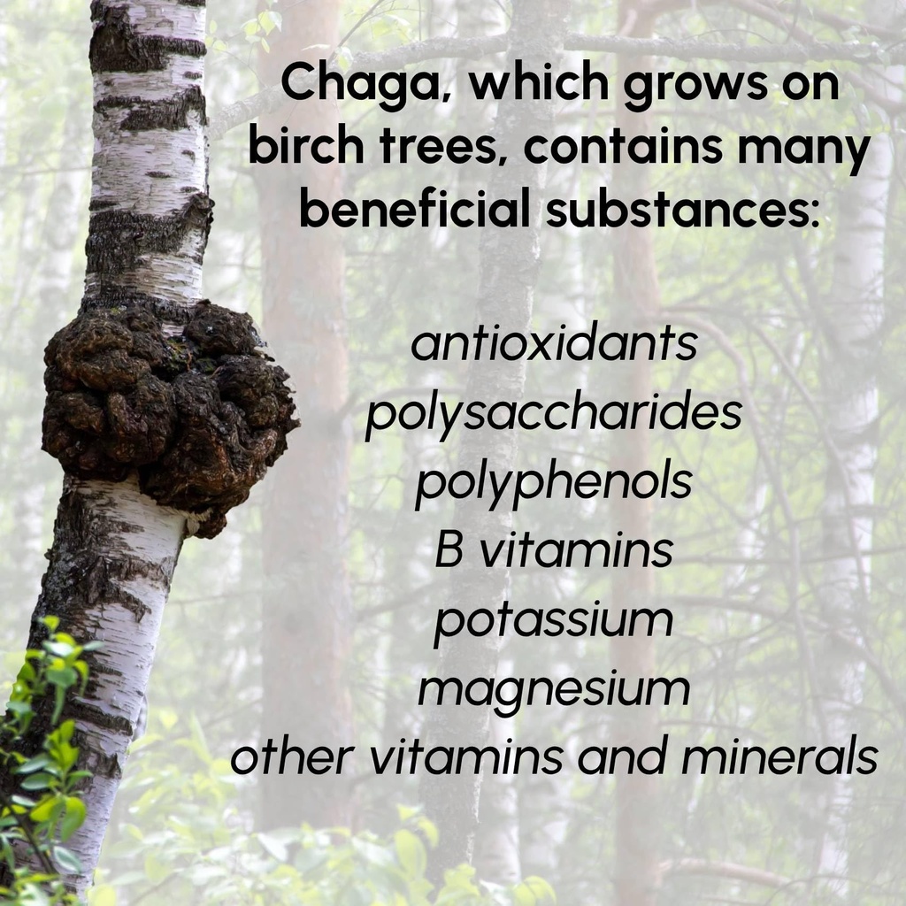 chaga-mushrooms-powder-8-oz-natural-anti-81vecgIrNPL.jpg