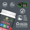 creatine-monohydrate-powder-micronized-p-81I4BQZCp+L.jpg
