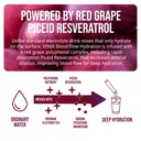 vinia-blood-flow-electrolyte-red-grape-p-81+3aagmOXL.jpg