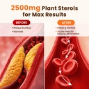 cholesterol-supplements-with-2500mg-plan-81OC6uIpoEL.jpg