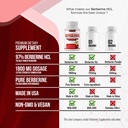 berberine-supplement-1800mg-premium-berb-81M6+zqGrvL.jpg