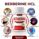 berberine-supplement-1800mg-premium-berb-81p0zQV3iKL.jpg
