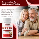 berberine-supplement-1800mg-premium-berb-811QtoBwKML.jpg