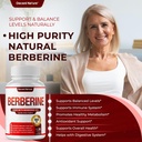 berberine-supplement-1800mg-premium-berb-817qT3oR3OL.jpg