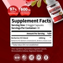 berberine-supplement-1800mg-premium-berb-81GiaSpcZHL.jpg