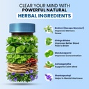 zeroharm-brain-booster-supplement-with-b-61sNksMvg1L.jpg