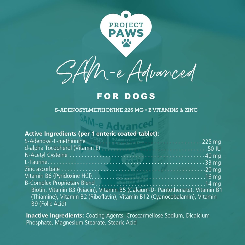 project-paws-same-for-dogs---liver-suppo-5.jpg