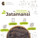 carmel-organics-jatamansi-roots-whole-10-71DAG5j9jNL.jpg