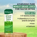 baidyanath-ayurved-wheatgrass-juice-1-li-71kbaFOCIoL.jpg