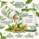youmore-green-tea-extract-capsules-herba-719fnoFopDL.jpg