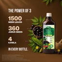 dabur-jamun-neem-karela-juice-1l-helps-c-81kkGYoQc+L.jpg