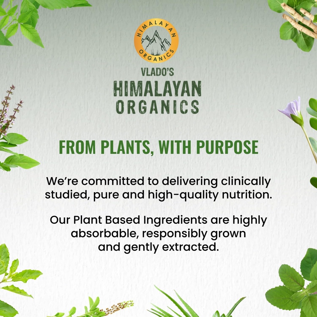 vlado-s-himalayan-organics-plant-based-s-71TJI5IEB9L.jpg