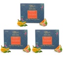 tgl-co-mogo-mogo-green-tea-infusion-50g--81xvm5te5uL.jpg