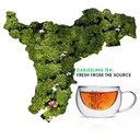 teabox-green-tea-loose-leaves-made-with--718HF5Mx0cL.jpg