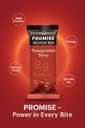 sundarban-agro-promise-protein-bar-9g-pl-61ryu5sO3YL.jpg