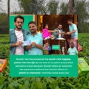 woolah-rare-assam-green-tea-with-mint-or-817HcR2NwwL.jpg