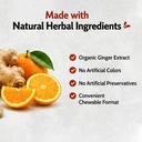 ginger-tablet-organic-herbal-chewable-gi-71wwOO6yJ5L.jpg
