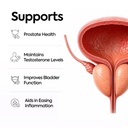 natxtra-proplus-men-s-wellness-supplemen-61OdxkXBEpL.jpg