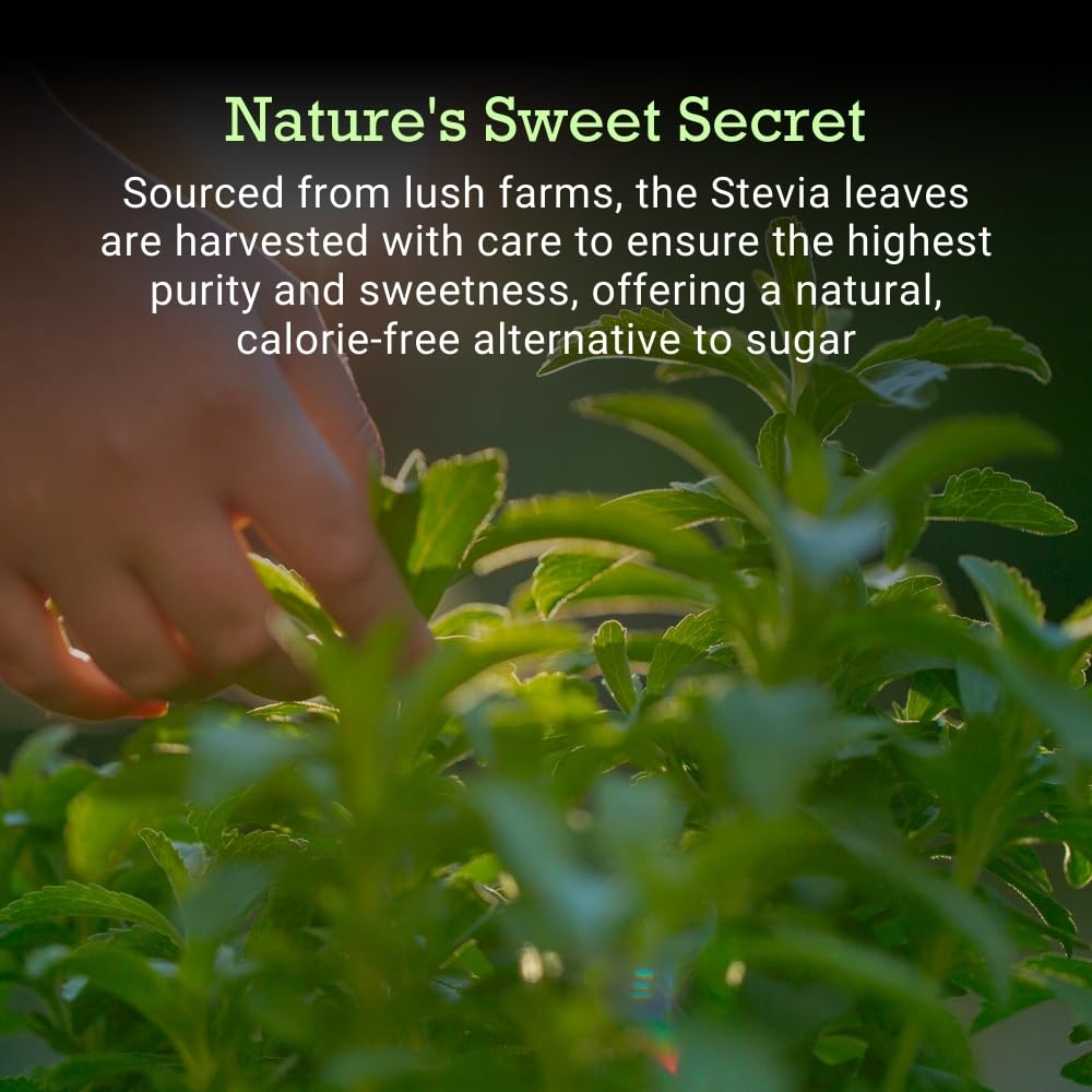 first-bud-organics-pure-stevia-drops-20m-61r9JF4F7FL.jpg