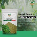 mewar-impex-green-stevia-powder-100-gm-s-71mcxNXPR6L.jpg