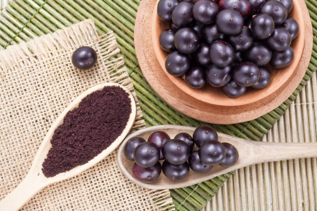 amazing-botanicals-acai-berry-tincture-1-4.jpg