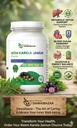 jamun-neem-karela-churna-maintaining-blo-716F8SIeN7L.jpg
