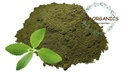 stevia-leaf-powder-100-natural-pure-zero-61MfIgqTPgL.jpg