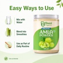 bhumi-organic-pure-amla-powder-for-hair--61WkAZVCRWL.jpg