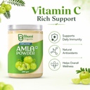 bhumi-organic-pure-amla-powder-for-hair--61pnTi0GcmL.jpg