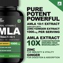amla-extract-10x-potency-with-zinc-ginge-81FCW+1jBeL.jpg