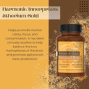 worldwide-nutrition-bundle-harmonic-inne-4.jpg