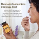 worldwide-nutrition-bundle-harmonic-inne-6.jpg