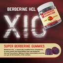 sugar-free-berberine-gummies-digestive-b-81TA+uEJP6L.jpg