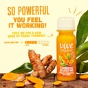 vive-organic-pure-boost-turmeric-shot-2o-6.jpg