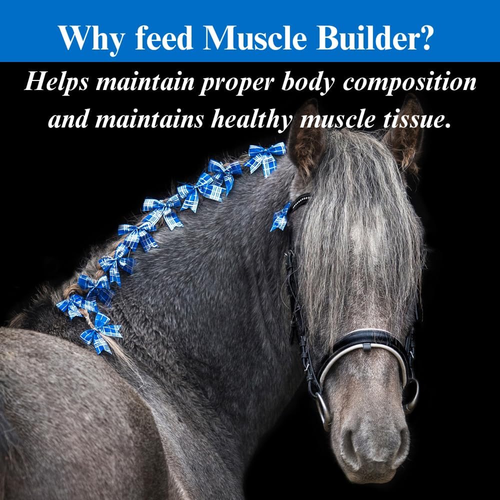 su-per-muscle-builder-horse-supplement---4.jpg