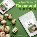 z-natural-foods-organic-chaga-mushroom-e-3.jpg