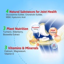 high-bioavailable-glucosamine-chondroiti-3.jpg