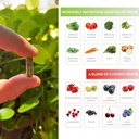 bodepro-bode-pro-3-second-salad-phytonut-3.jpg